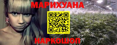 дмт Малгобек