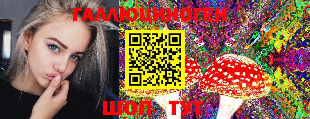 Псилоцибиновые грибы Cubensis  Галлюциногенные грибы мицелий  Вход с VPN  Видное 