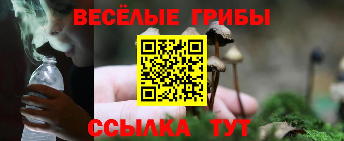 Псилоцибиновые грибы ЛСД Видное